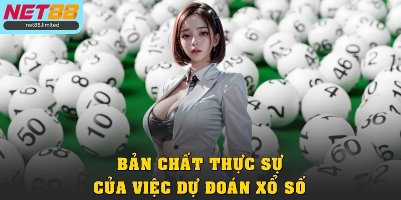 Bản chất thực sự của việc dự đoán xổ số