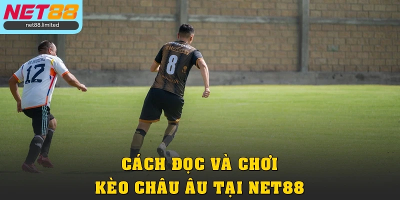 Cách đọc và chơi kèo châu Âu tại Net88