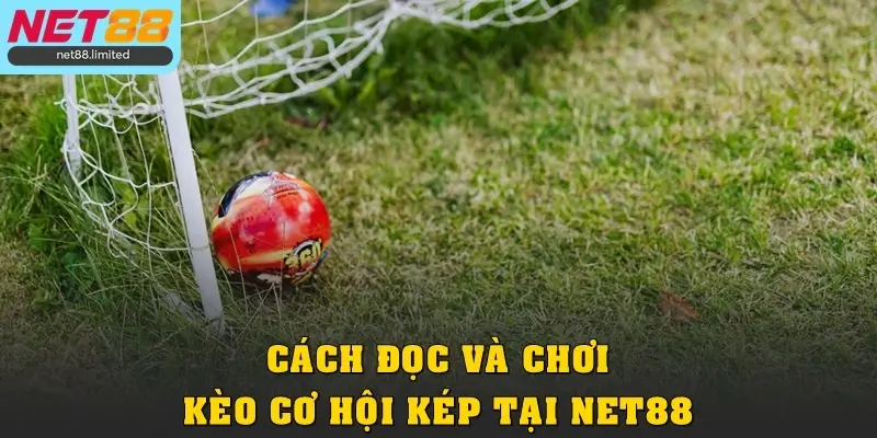 Cách đọc và chơi kèo cơ hội kép tại Net88