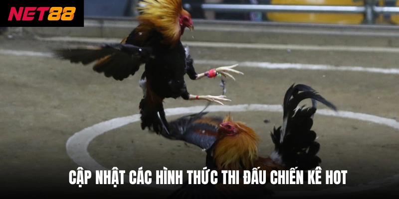 Cập nhật các hình thức thi đấu chiến kê hot