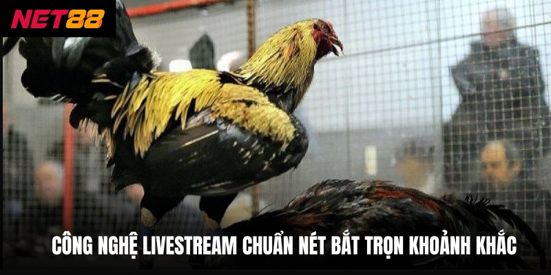 Công nghệ livestream chuẩn nét bắt trọn khoảnh khắc