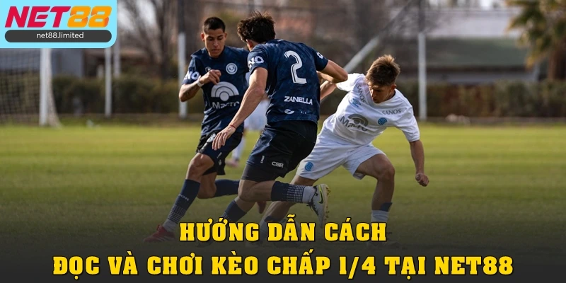 Hướng dẫn cách đọc và chơi kèo chấp 1/4 tại Net88