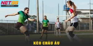 Bí Quyết Bắt Kèo Châu Âu Từ A - Z Cho Người Mới Tại Net88