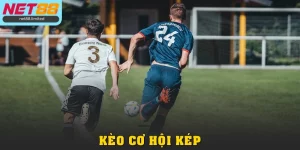 Hướng Dẫn Kèo Cơ Hội Kép Từ A - Z Cho Người Mới Cá Cược