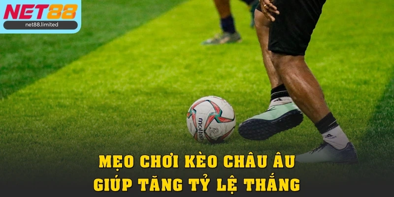 Mẹo chơi kèo châu Âu giúp tăng tỷ lệ thắng