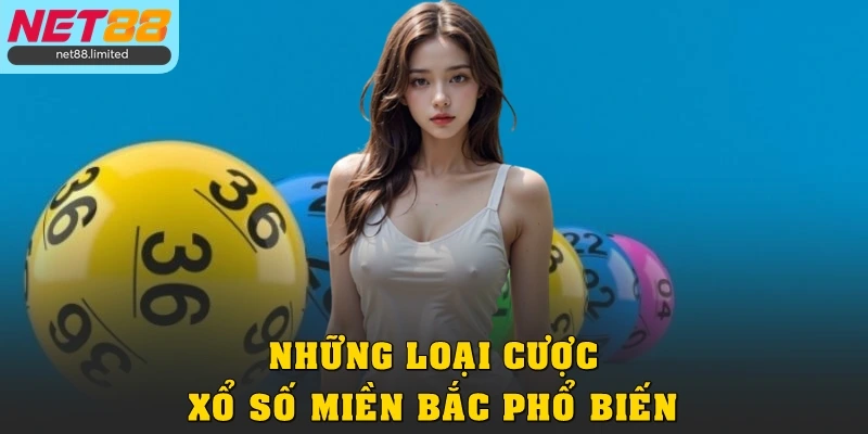 Những loại cược xổ số miền Bắc phổ biến và dễ chơi