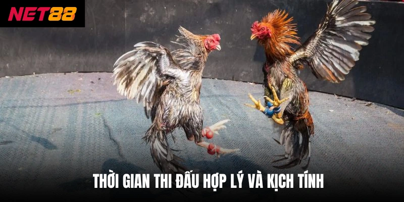 Thời gian thi đấu hợp lý và kịch tính